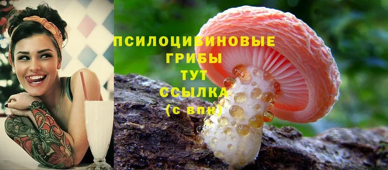 Псилоцибиновые грибы Psilocybine cubensis  Разумное 